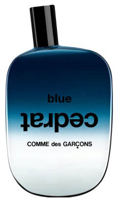Comme Des Garcons