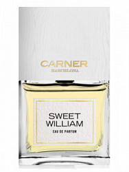 Carner Barcelona Sweet William