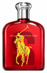 Ralph Lauren Big Pony 2